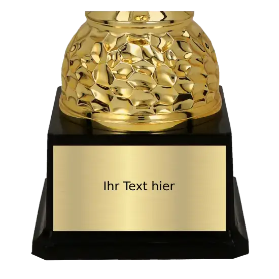 Pokal 3133 Pokal 3133 – Bild 2