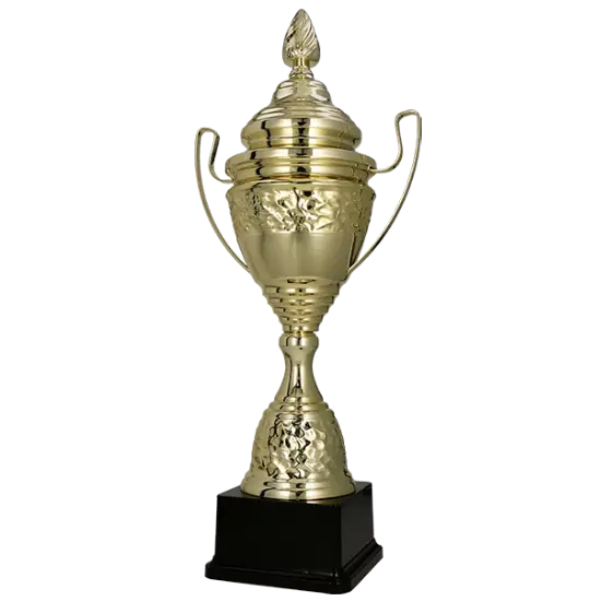 Pokal 1073 Pokal 1073