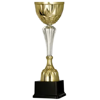 pokal-3153-2