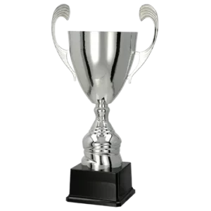 Pokal 4105