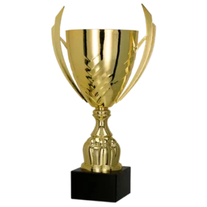 Pokal 4224