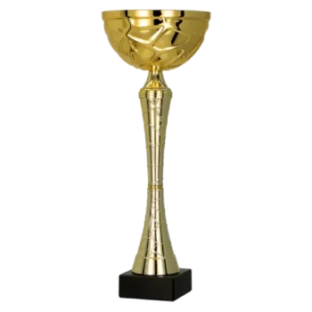 pokal-9251-2