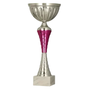 Pokal 9273
