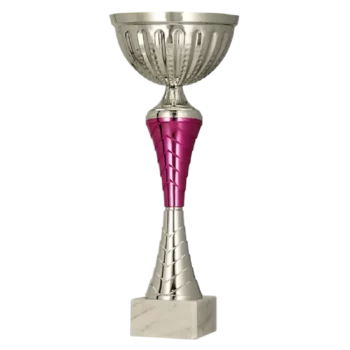 pokal-9273-2