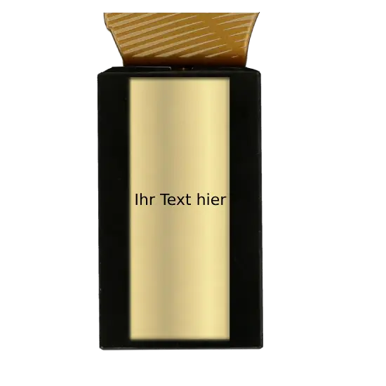 Metall Trophäe Torwarthandschuh MLV-SOC3 Metall Trophäe Torwarthandschuh MLV-SOC3 – Bild 2