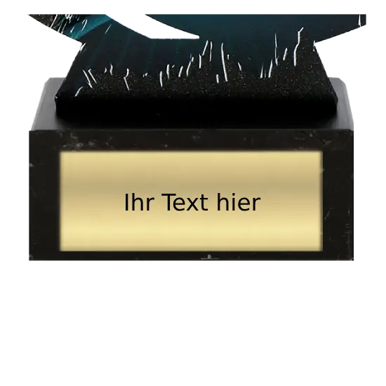 Metall Trophäe Schwimmen WR-SWI Metall Trophäe Schwimmen WR-SWI – Bild 2