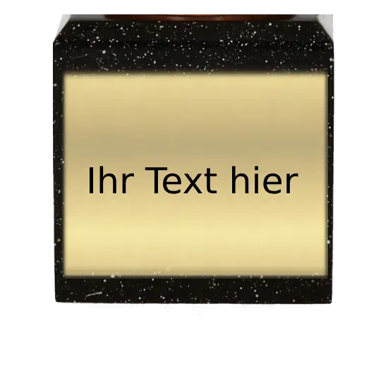 Harz Trophäe Erfolgsmensch RFPL1001 Harz Trophäe Erfolgsmensch RFPL1001 – Bild 2