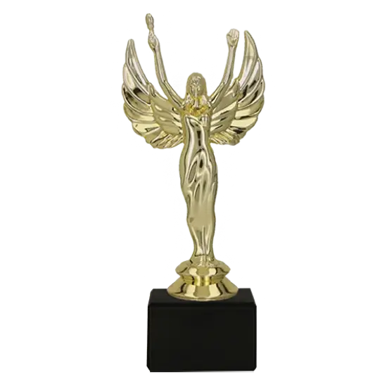 Kunststofftrophäe Für Eine Ganz Besondere Person S7B322/G Kunststofftrophäe Für Eine Ganz Besondere Person S7B322/G