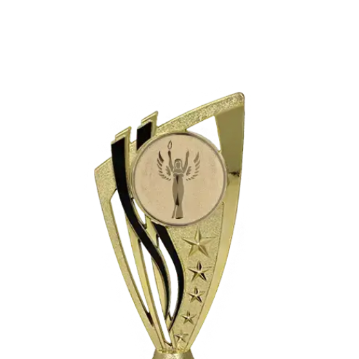 Kunststofftrophäe Erfolg S7F258/G/BK Kunststofftrophäe Erfolg S7F258/G/BK – Bild 2