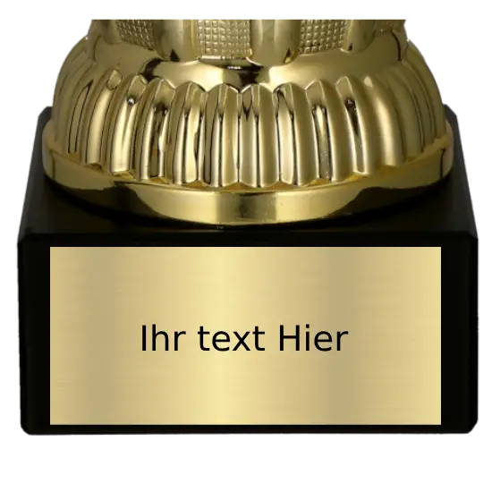 Pokal Tischtennisturnier 7249/TAB Pokal Tischtennisturnier 7249/TAB – Bild 3