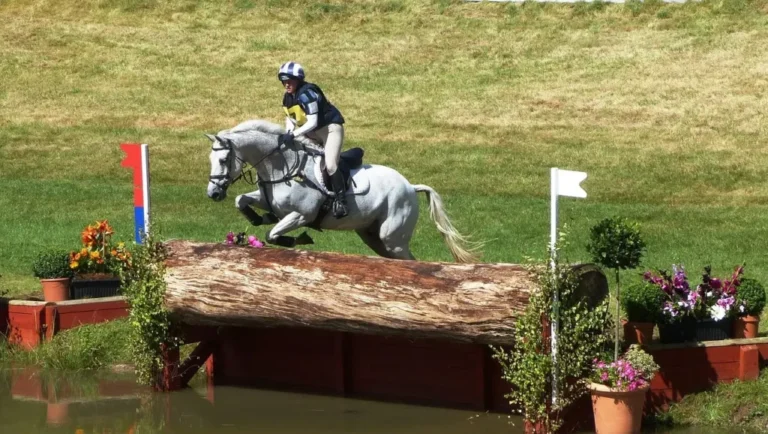 Ein Reiter und sein Pferd springen bei einem Reitturnier über ein Hindernis. Das Pferd ist grau und trägt Zaumzeug und Sattel. Der Reiter trägt Helm, Poloshirt und Reithose. Sie springen über einen großen Baumstamm, der über einem Wasserbecken liegt. Flaggen und Blumen säumen das Hindernis. Im Hintergrund ist eine grüne Wiese zu sehen.