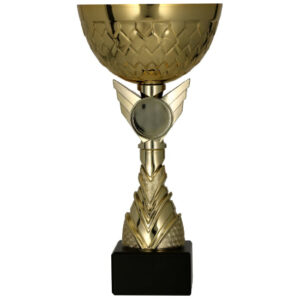Pokal 9304