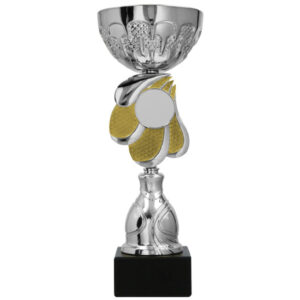 Pokal 9324